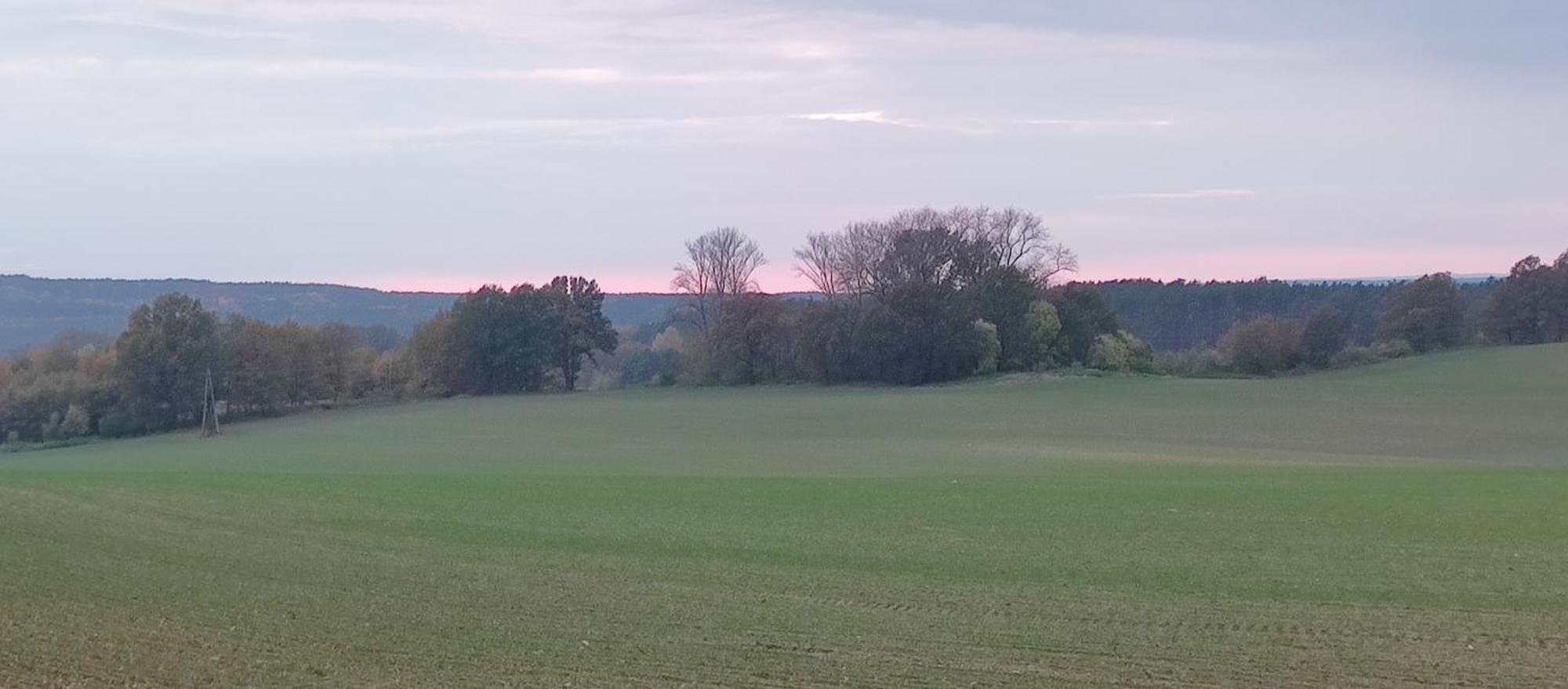 Gospodarstwo Agroturystyczne Agroletnica Świdnica Exterior foto